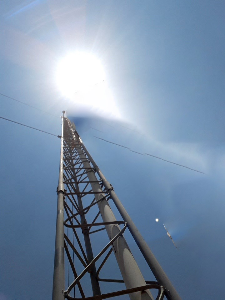 نمایشگاه بین المللی